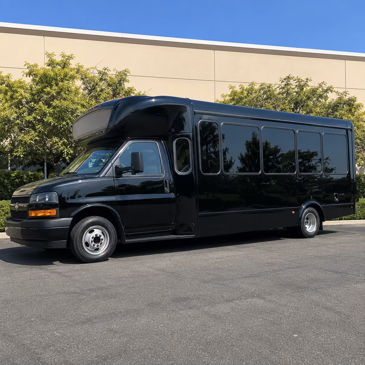 Group beside a Mercedes Sprinter limo in Toledo