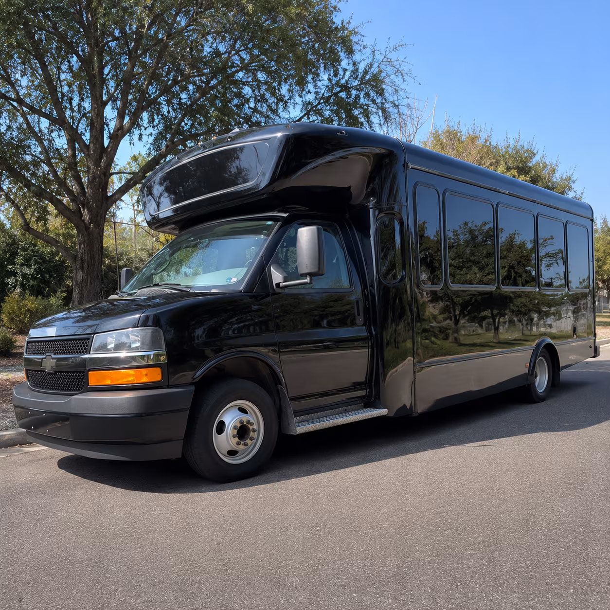 Toledo Birthday Transportation
