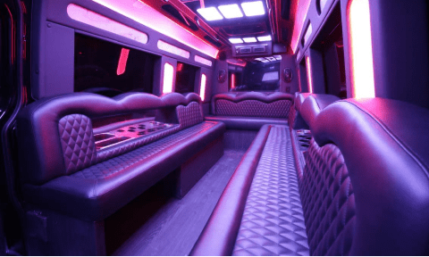 Hamilton 14 Passenger Sprinter Bus Interior
