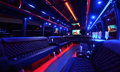 Cuyahoga Falls 30 Passenger Party Bus Black Interior