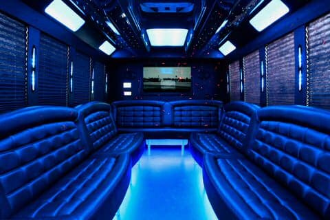 Hamilton 36 Passenger Party Bus Interior